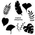 Tropical set, silhouettes of leaves and branches. contours of palm leaves, ginkgo tree monstera. simple icons